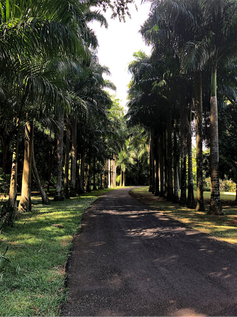 Jardin de pamplemousses - Île Maurice - Kallina Voyages