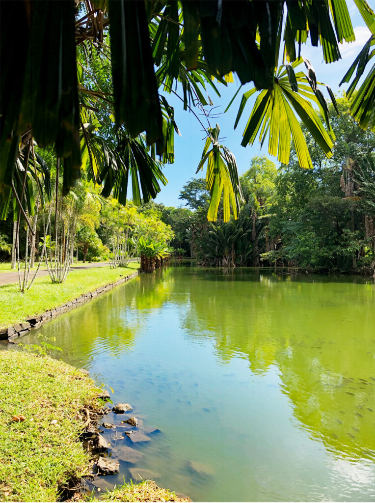 Jardin de pamplemousses - Île Maurice - Kallina Voyages