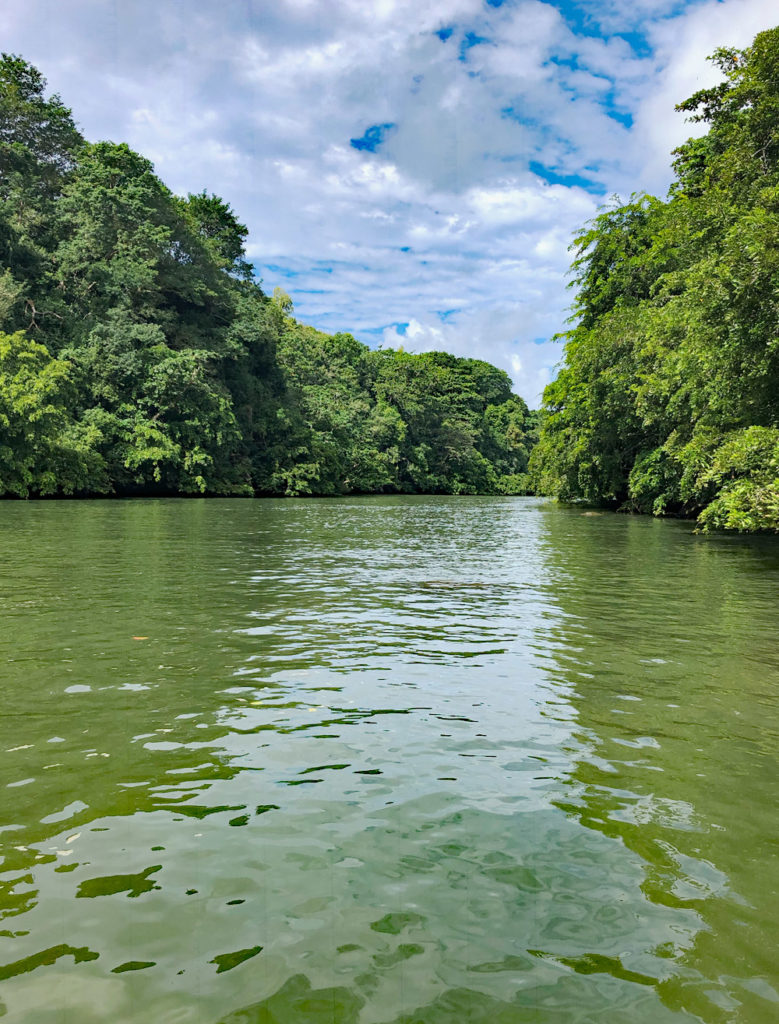 Cascades de Grande Rivière Sud-Est - Île Maurice - Kallina Voyages