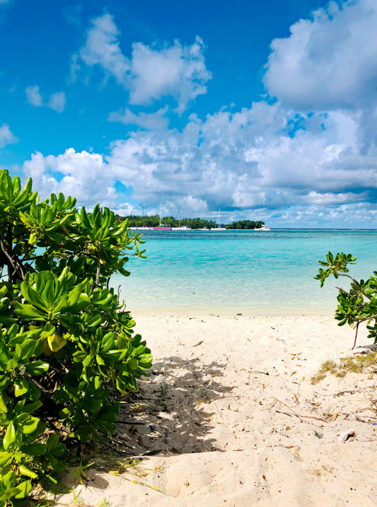 Île Plate - Île Maurice - Kallina Voyages