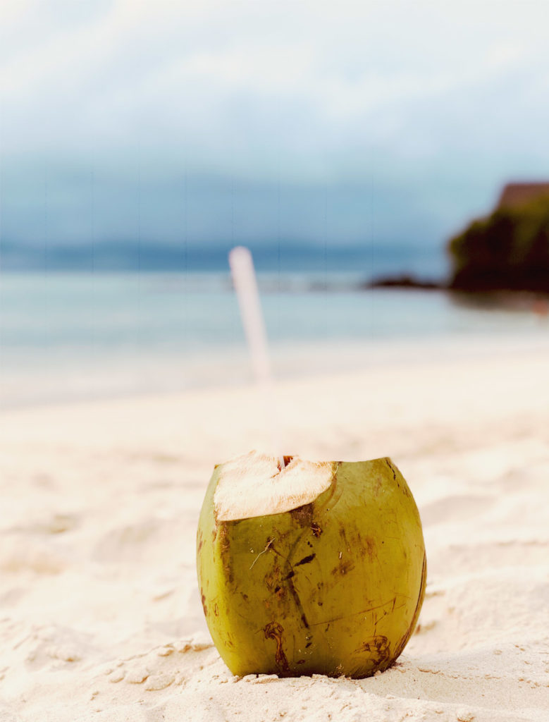 Noix de coco - Île Maurice - Kallina Voyages